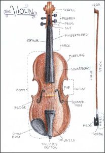 Parts-of-the-Violin-full-page